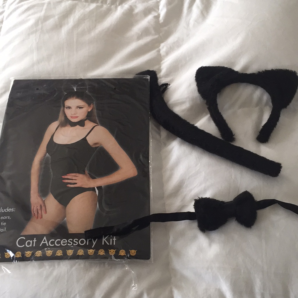 Cat Accessory Kit